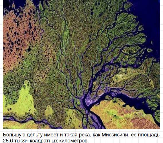 Параграф 17 - ГДЗ по географии для 7 класса Алексеев - учебник Полярная звезда. Фрагмент 8 / 25