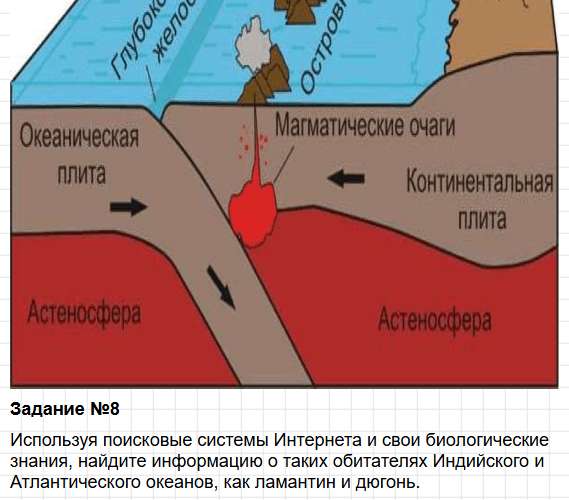 Параграф 23 - ГДЗ по географии для 7 класса Алексеев - учебник Полярная звезда. Фрагмент 18 / 23