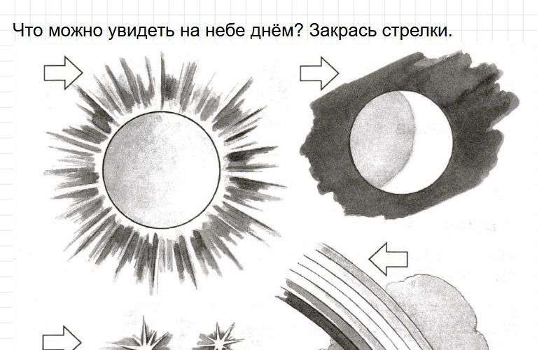 Тема: "Что и кто?". Вариант 4, номер 5. ГДЗ окружащий мир 1 класс проверочные работы Плешаков. Фрагмент 1 / 3