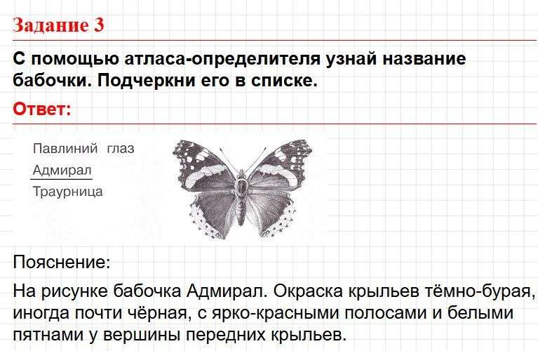 Страница 13 - тесты по окружающему миру 1 класс, Плешаков. Фрагмент 1 / 3