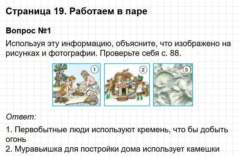 Ответы к странице 19 - окружащий мир 1 класс Плешаков, учебник часть 1. Фрагмент 1 / 3