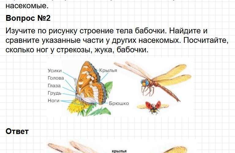 Ответы к странице 30 - окружащий мир 1 класс Плешаков, учебник часть 1. Фрагмент 2 / 3