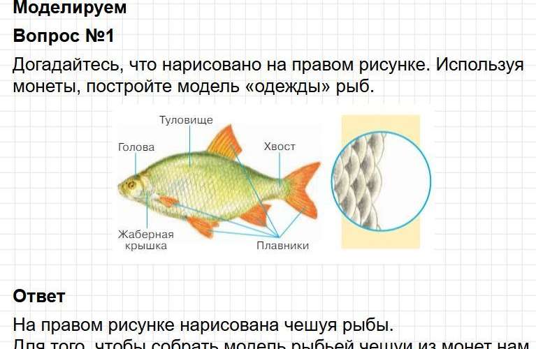 Ответы к странице 32 - окружащий мир 1 класс Плешаков, учебник часть 1. Фрагмент 2 / 4