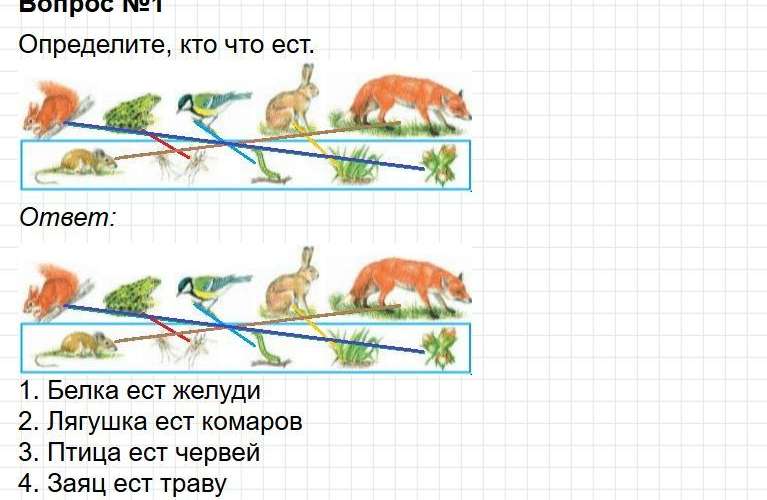 Ответы к странице 72 - окружащий мир 1 класс Плешаков, учебник часть 1. Фрагмент 2 / 4