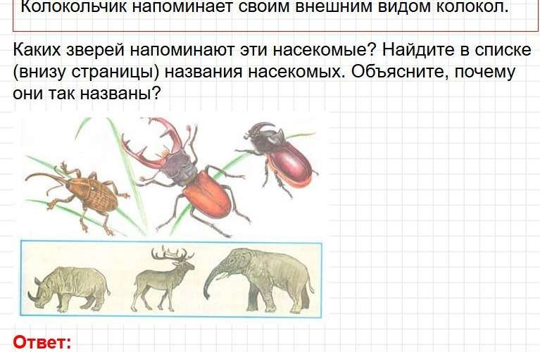 Ответы к странице 75 - окружащий мир 1 класс Плешаков, учебник часть 2. Фрагмент 2 / 3