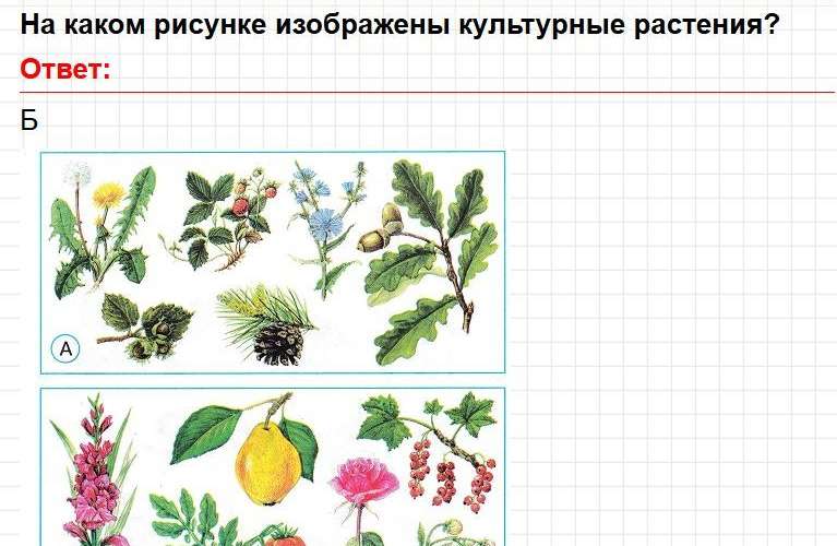 ГДЗ Страница 26 - тесты по окружающему миру 2 класс, Плешаков. Фрагмент 2 / 3