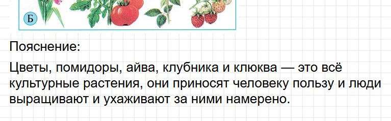 ГДЗ Страница 26 - тесты по окружающему миру 2 класс, Плешаков. Фрагмент 3 / 3