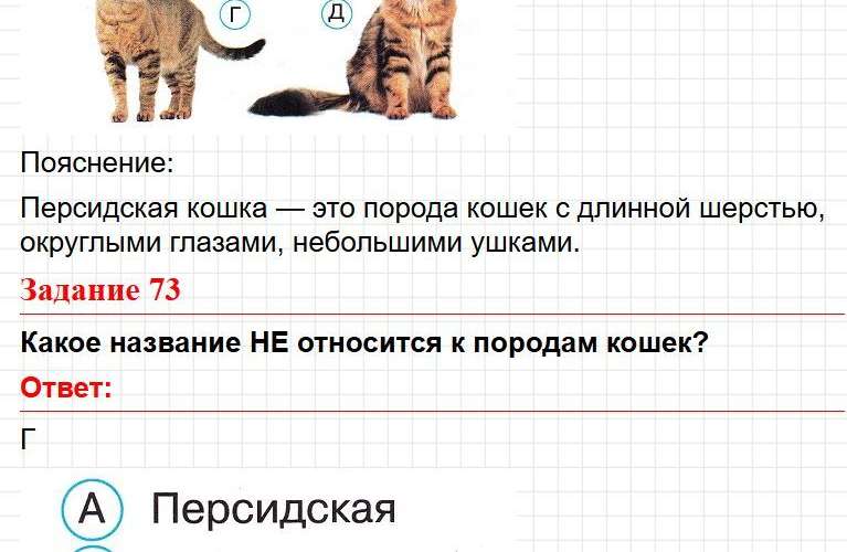 ГДЗ Страница 30 - тесты по окружающему миру 2 класс, Плешаков. Фрагмент 2 / 3