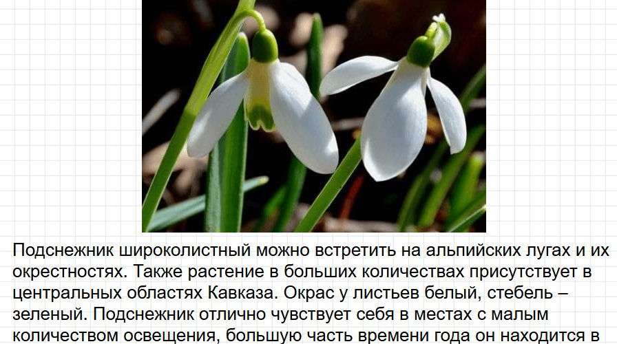 Ответы к странице 98-99 - окружащий мир 2 класс Плешаков, учебник часть 1. Фрагмент 7 / 14