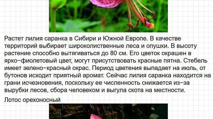 Ответы к странице 98-99 - окружащий мир 2 класс Плешаков, учебник часть 1. Фрагмент 9 / 14