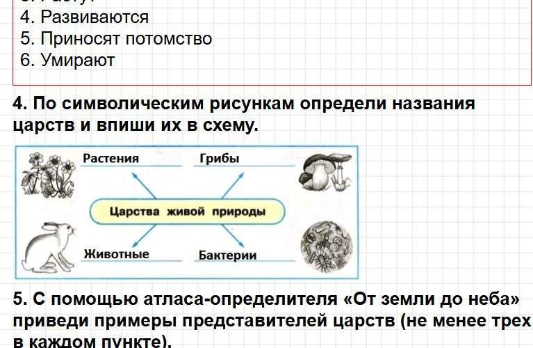 ГДЗ к тетради Плешакова по окружающему миру для 3 класса. Часть 1, страница 6-9. Фрагмент 3 / 5