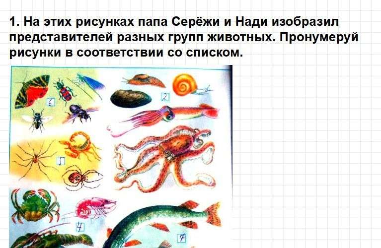 ГДЗ к тетради Плешакова по окружающему миру для 3 класса. Часть 1, страница 50-54. Фрагмент 1 / 9