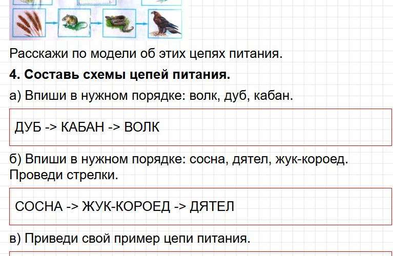 ГДЗ к тетради Плешакова по окружающему миру для 3 класса. Часть 1, страница 55-57. Фрагмент 3 / 5