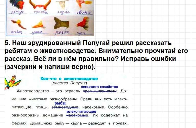 ГДЗ к тетради Плешакова по окружающему миру для 3 класса. Часть 2, страница 34-37. Фрагмент 4 / 7