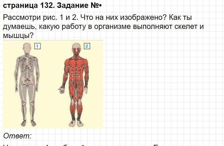 Ответ к странице 132. ГДЗ по окружающему миру 3 класс учебник Плешакова, часть 1. Фрагмент 2 / 3