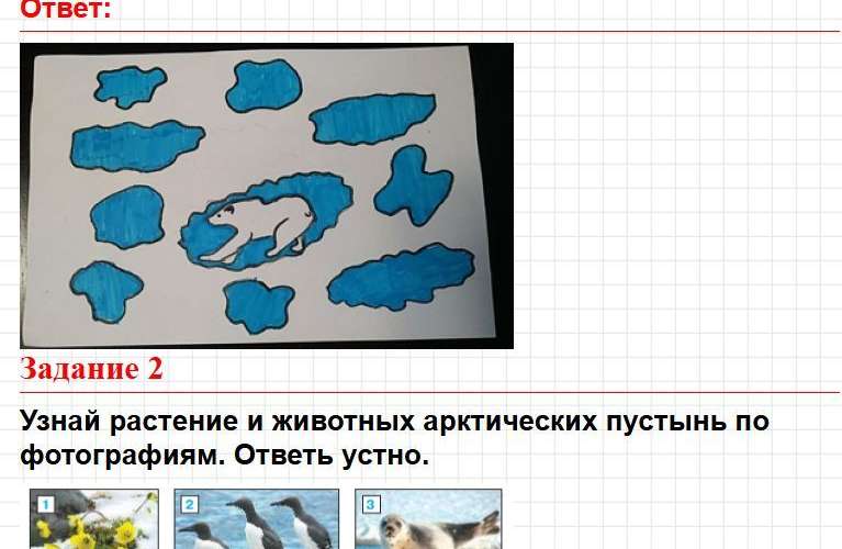 Страница 58 - ГДЗ по окружающему миру 4 класс Плешаков, Крючкова (1 часть). Фрагмент 4 / 6