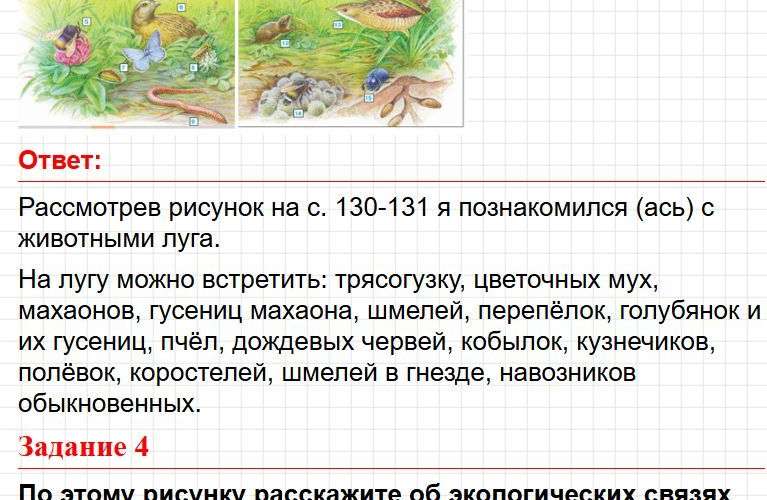 Страница 129 - ГДЗ по окружающему миру 4 класс Плешаков, Крючкова (1 часть). Фрагмент 3 / 4
