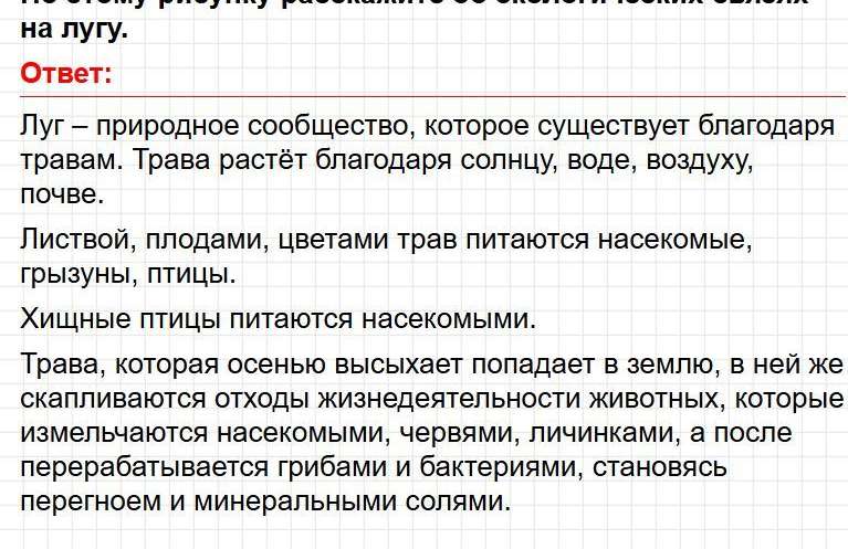 Страница 129 - ГДЗ по окружающему миру 4 класс Плешаков, Крючкова (1 часть). Фрагмент 4 / 4