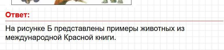 Страница 148 - ГДЗ по окружающему миру 4 класс Плешаков, Крючкова (1 часть). Фрагмент 4 / 4