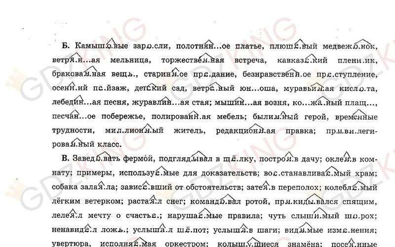 ГДЗ рабочая тетрадь часть 1 по русскому языку 9 класс Богданова страница 13. Фрагмент 1 / 3