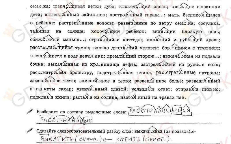 ГДЗ рабочая тетрадь часть 1 по русскому языку 9 класс Богданова страница 13. Фрагмент 2 / 3